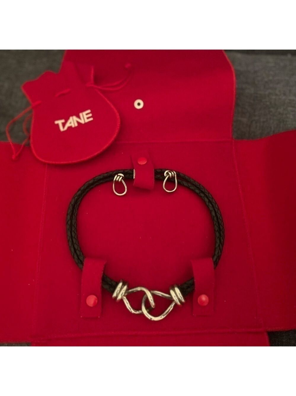 TANE Vintage Leather & Sterling Silver Links Necklace and Matching Hoop Earrings